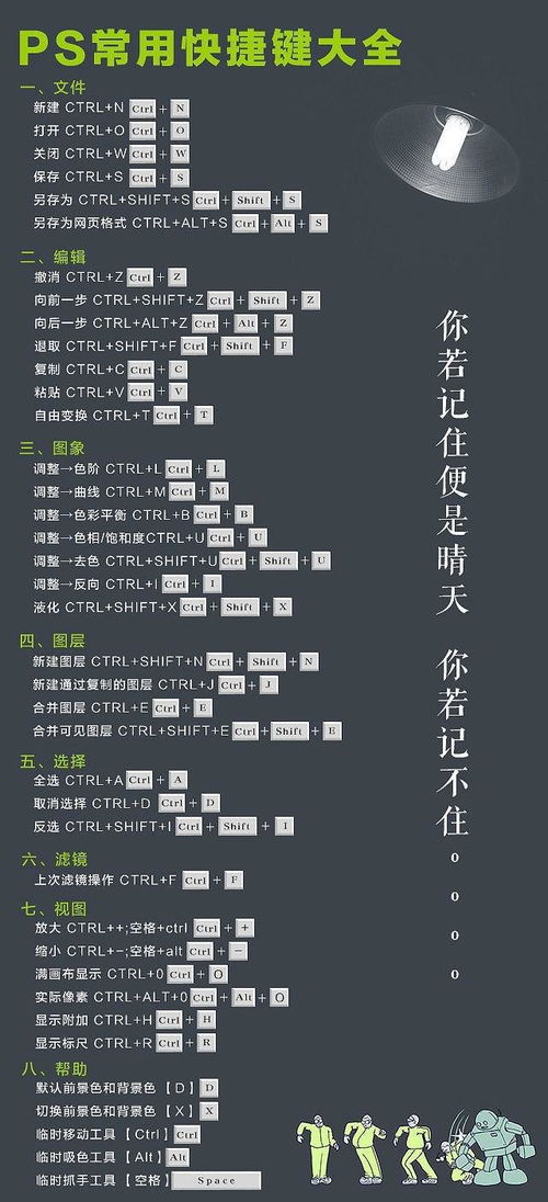 SAI與PS繪畫入門 核心功能詳解與軟件服務(wù)對(duì)比