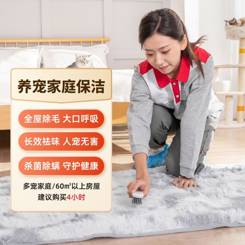 寵物友好家庭的專業(yè)保潔 從毛發(fā)到氣味，再到消毒的全方位指南